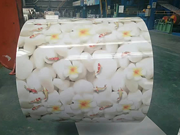 Design Coating